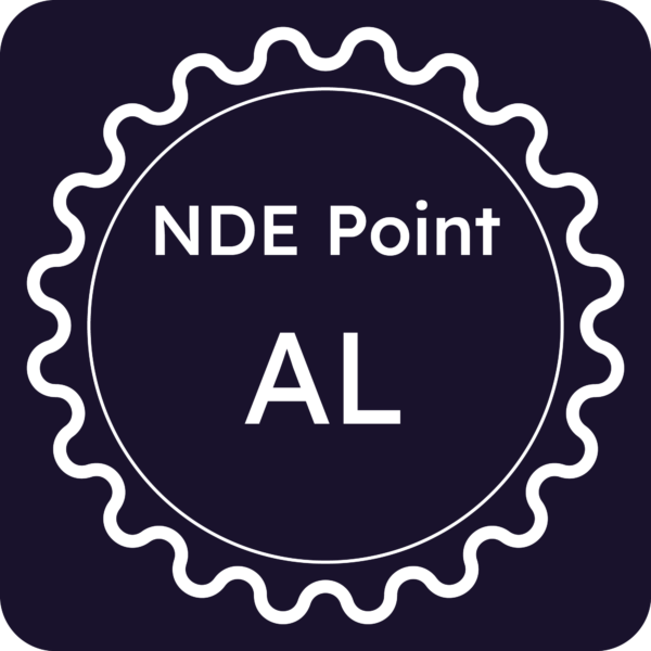 Licenza NDE Point - Alessandria