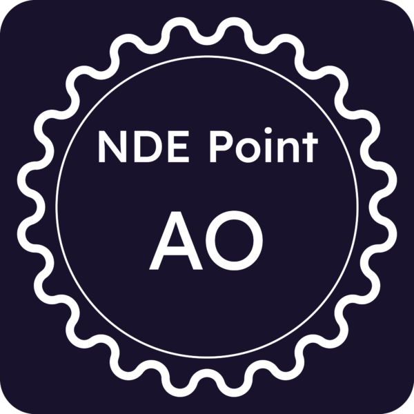 Licenza NDE Point - Aosta
