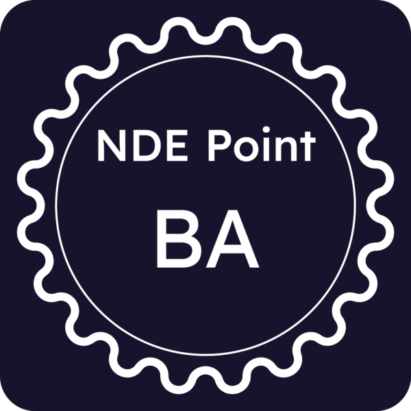 Licenza NDE Point - Bari