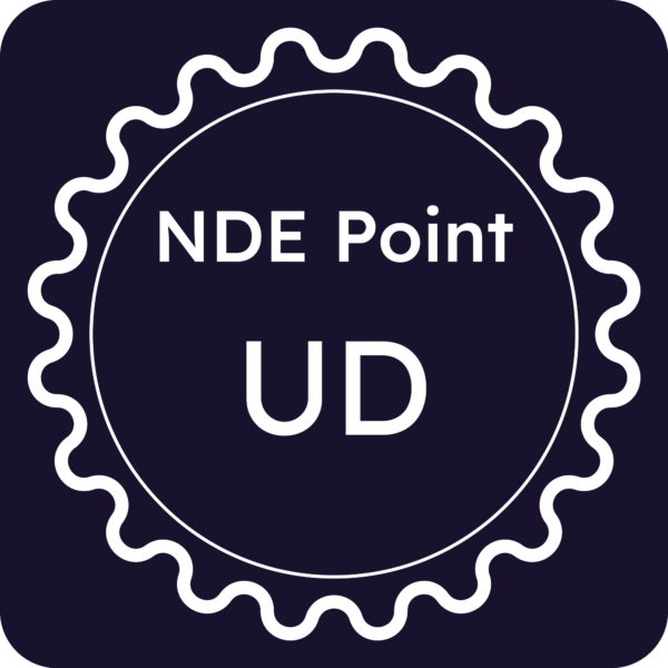 Licenza NDE Point - Udine