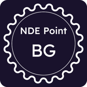 Licenza NDE Point - Bergamo