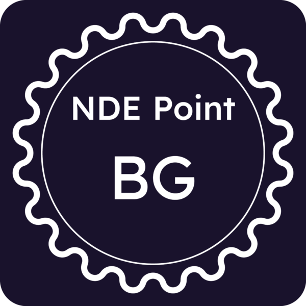 Licenza NDE Point - Bergamo
