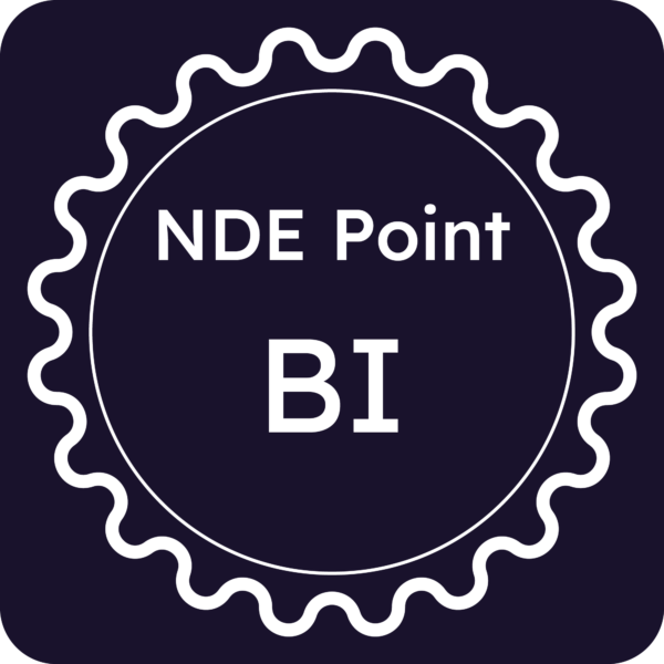Licenza NDE Point - Biella