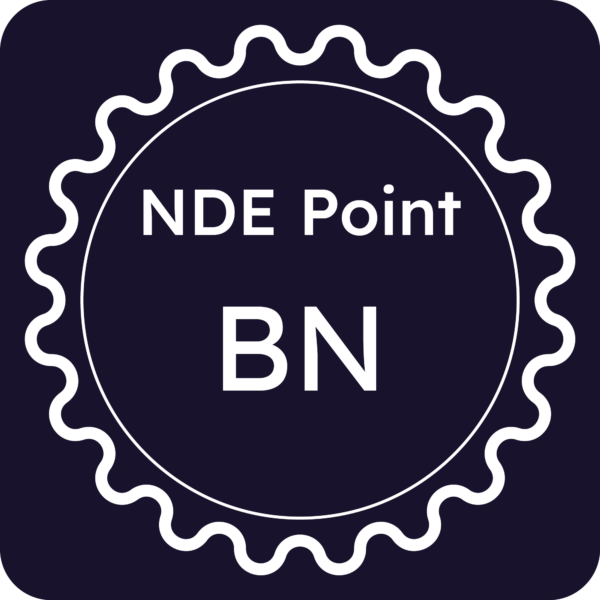 Licenza NDE Point - Benevento