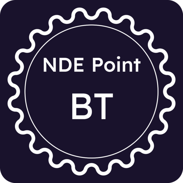 Licenza NDE Point - Barletta