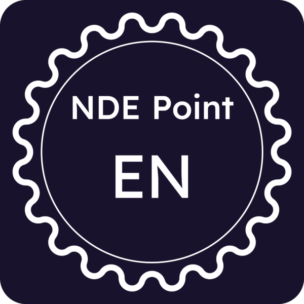 Licenza NDE Point - Enna