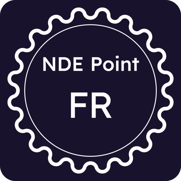 Licenza NDE Point - Frosinone