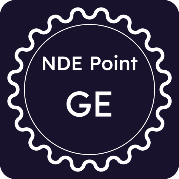 Licenza NDE Point - Genova