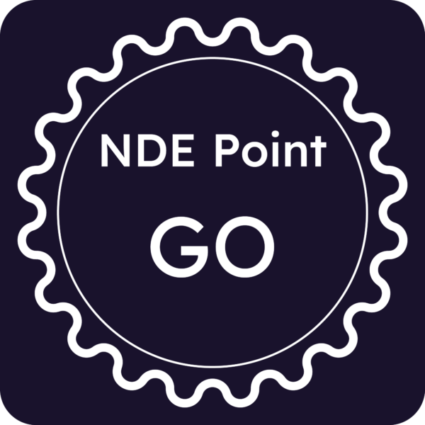 Licenza NDE Point - Gorizia