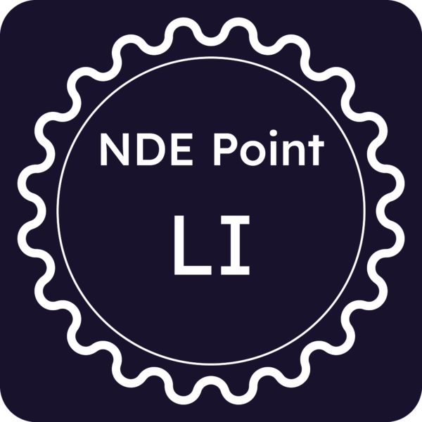 Licenza NDE Point - Livorno