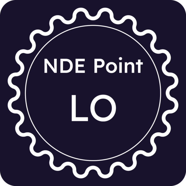 Licenza NDE Point - Lodi