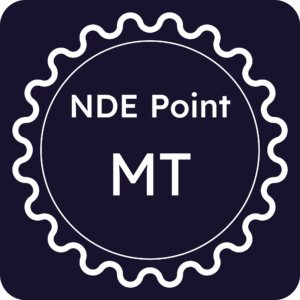Licenza NDE Point - Matera