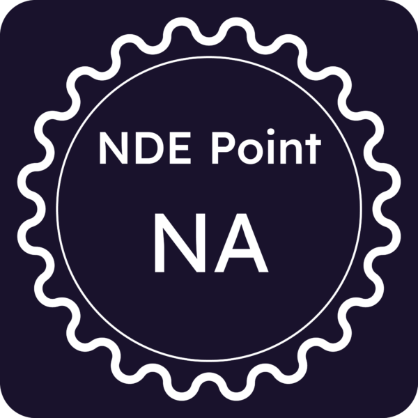 Licenza NDE Point - Napoli