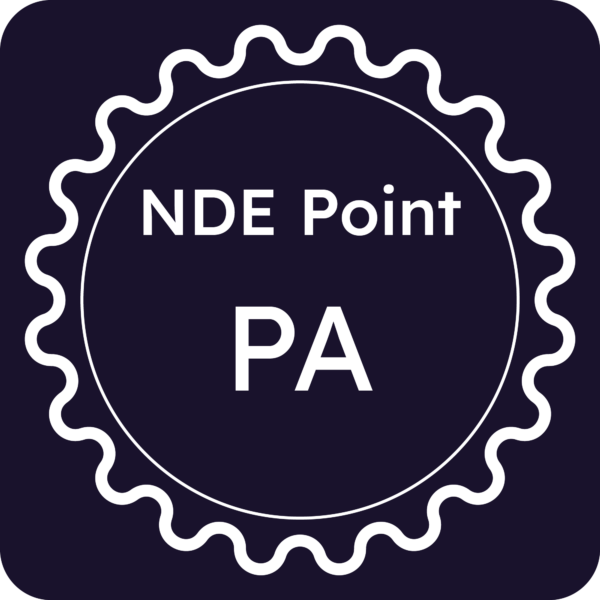 Licenza NDE Point - Palermo