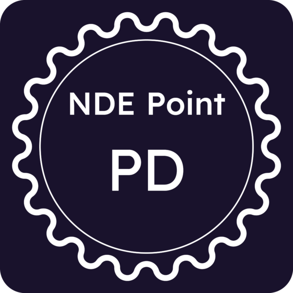 Licenza NDE Point - Padova