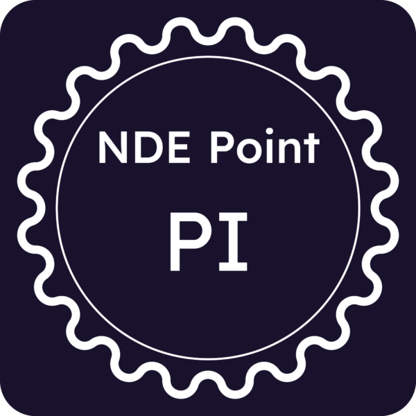 Licenza NDE Point - Pisa