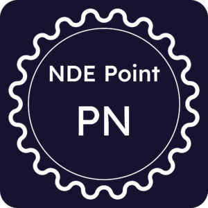 Licenza NDE Point - Pordenone