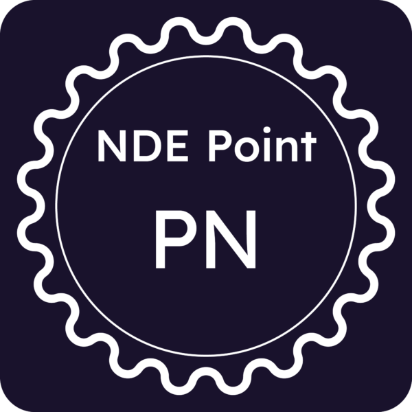 Licenza NDE Point - Pordenone
