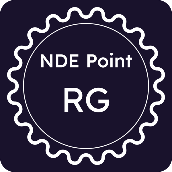 Licenza NDE Point - Ragusa