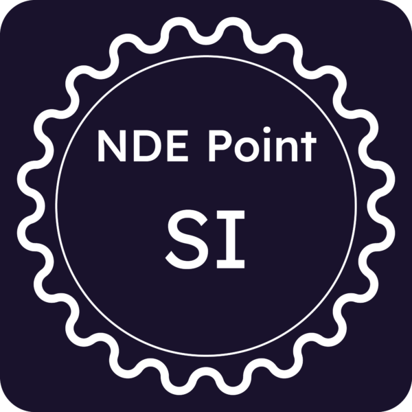 Licenza NDE Point - Siena
