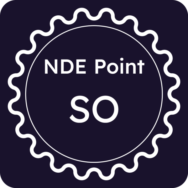 Licenza NDE Point - Sondrio