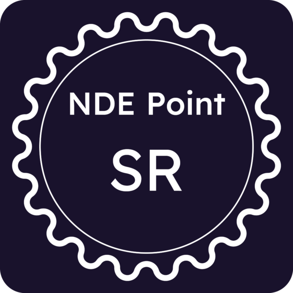 Licenza NDE Point - Siracusa
