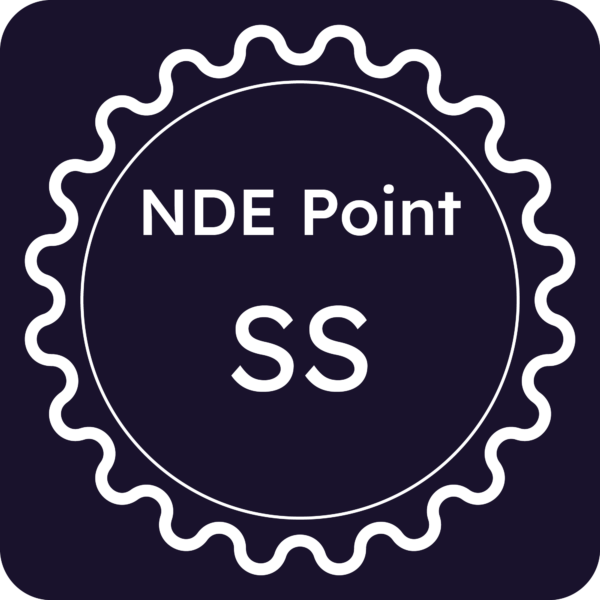 Licenza NDE Point - Sassari