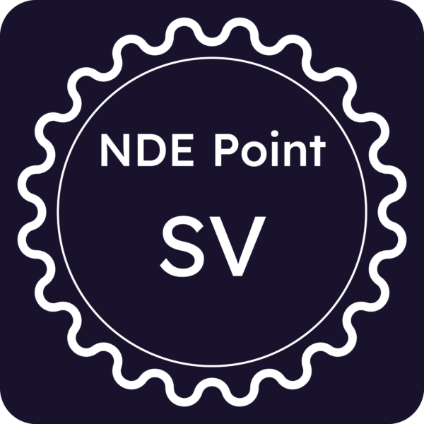 Licenza NDE Point - Savona