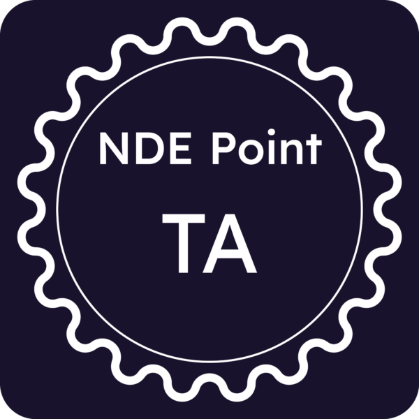 Licenza NDE Point - Taranto