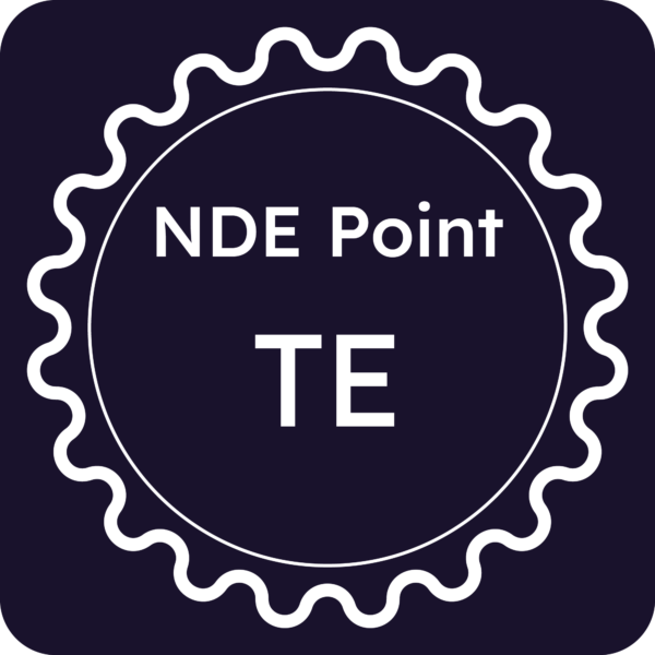 Licenza NDE Point - Teramo