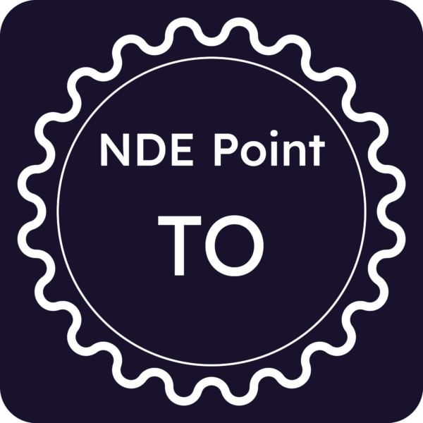 Licenza NDE Point - Torino