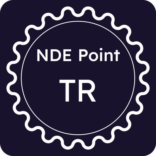 Licenza NDE Point - Terni