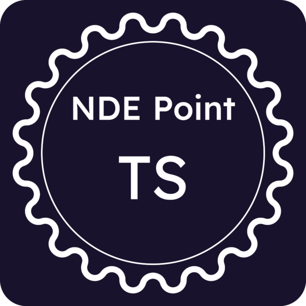 Licenza NDE Point - Trieste